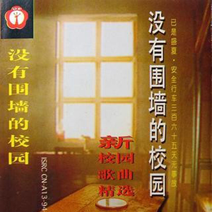 A久久96视频免费
